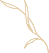 dessin algue beige