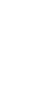 dessin branche feuilles blanc