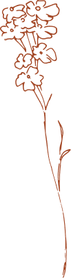 dessin longue fleur rouge